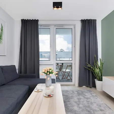 Premium Platany By Renters