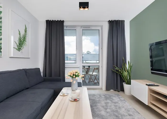 Premium Platany By Renters